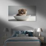 Kitten in Bowl Tempered Glass Wall Art: HD Print, Kitten Portrait