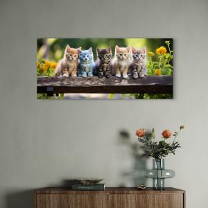 Kittens Tempered Glass Wall Art, Colorful Baby Cats, Nursery Decor.